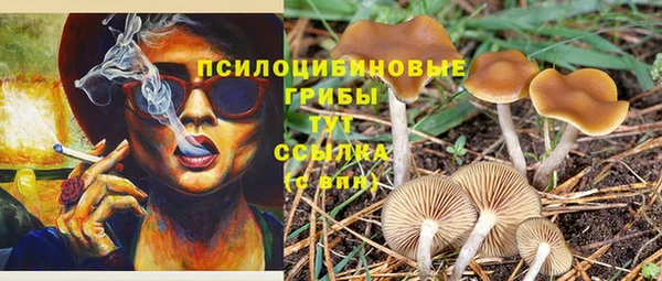 меф VHQ Козловка