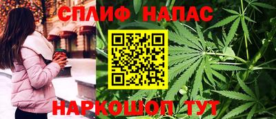 крисы Кандалакша