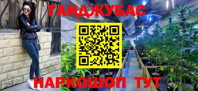 дурь Камышлов