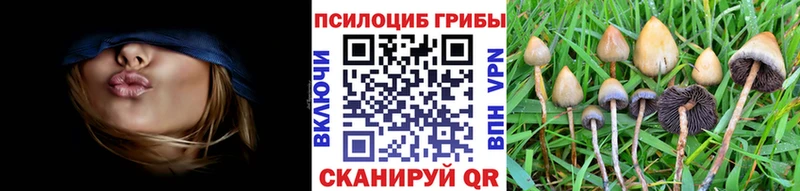 Галлюциногенные грибы прущие грибы  хочу   Ростов-на-Дону 