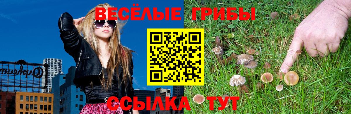 Галлюциногенные грибы мухоморы Ростов-на-Дону