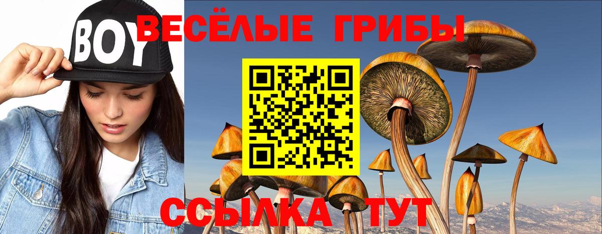 Псилоцибиновые грибы Psilocybine cubensis Ростов-на-Дону