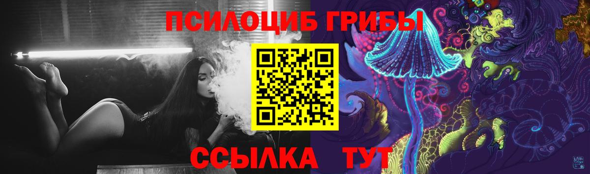 Ростов-на-Дону  Псилоцибиновые грибы MAGIC MUSHROOMS  Вход с VPN 